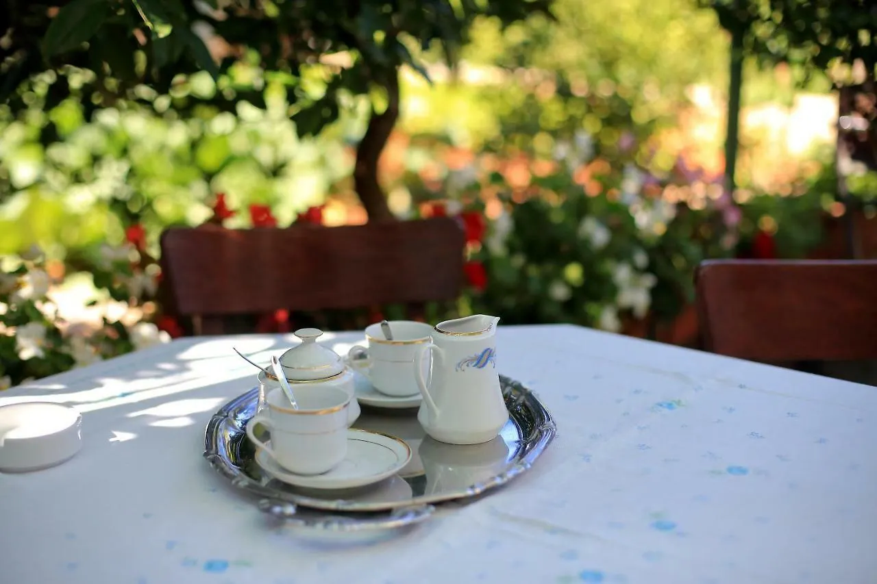 Apartment Zora Zadar
